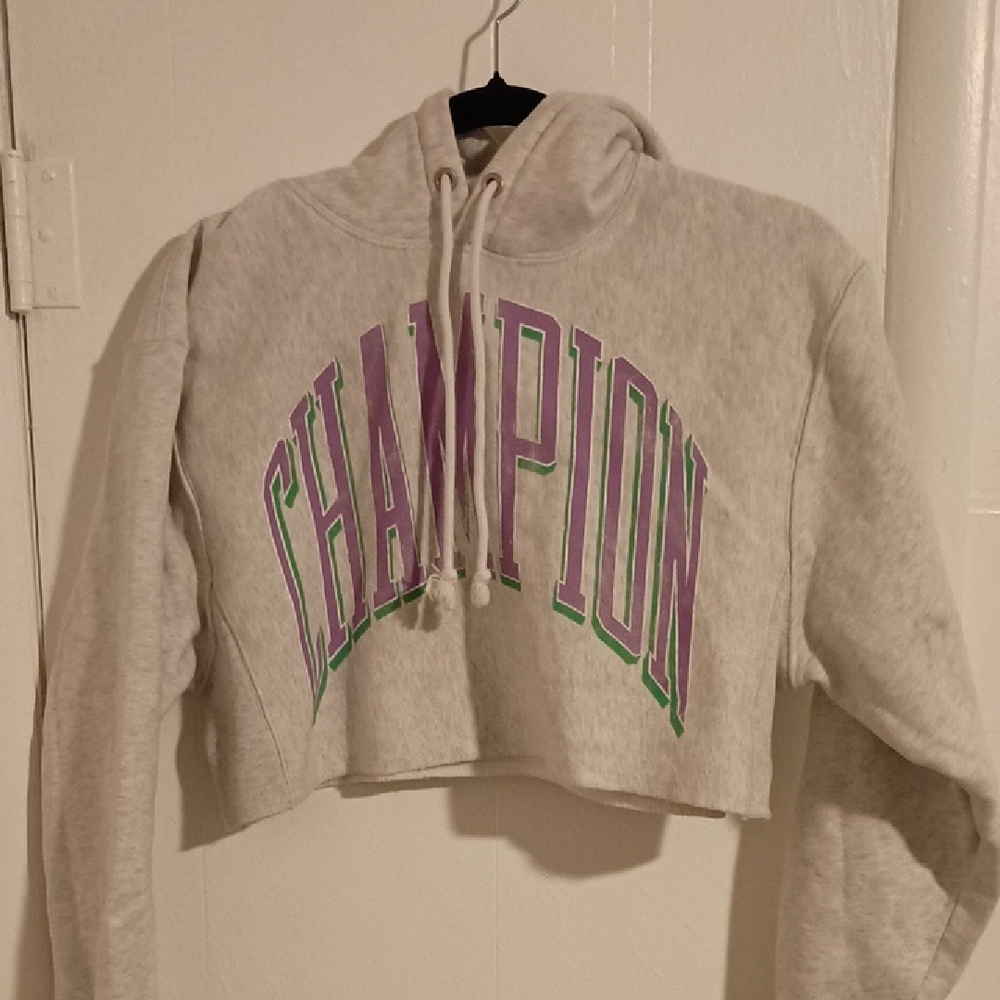 Champion Gray Cropped Hoodie with Purple and Green Lettering